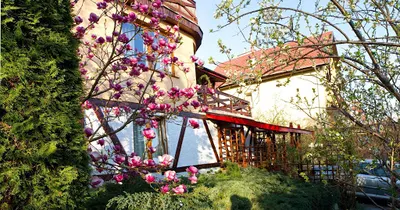 Zakątek Nad Jeziorem Ełk Noclegi Władysława Jagiełły 11